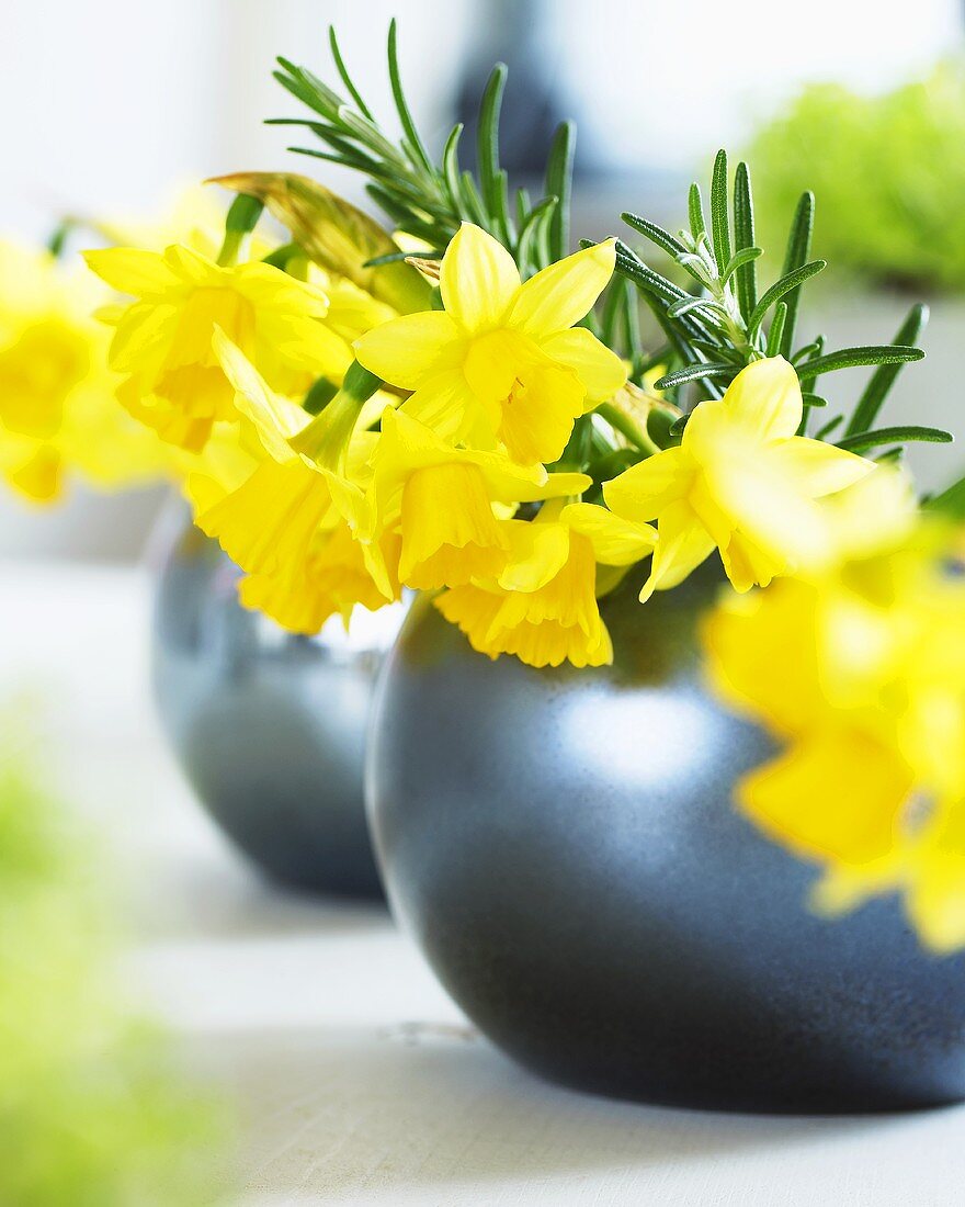 'Tete a Tete' narcissi in vases