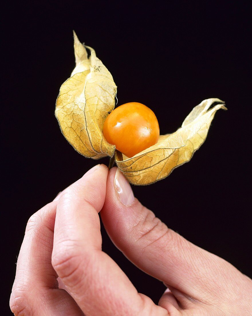 Hand hält eine Physalis