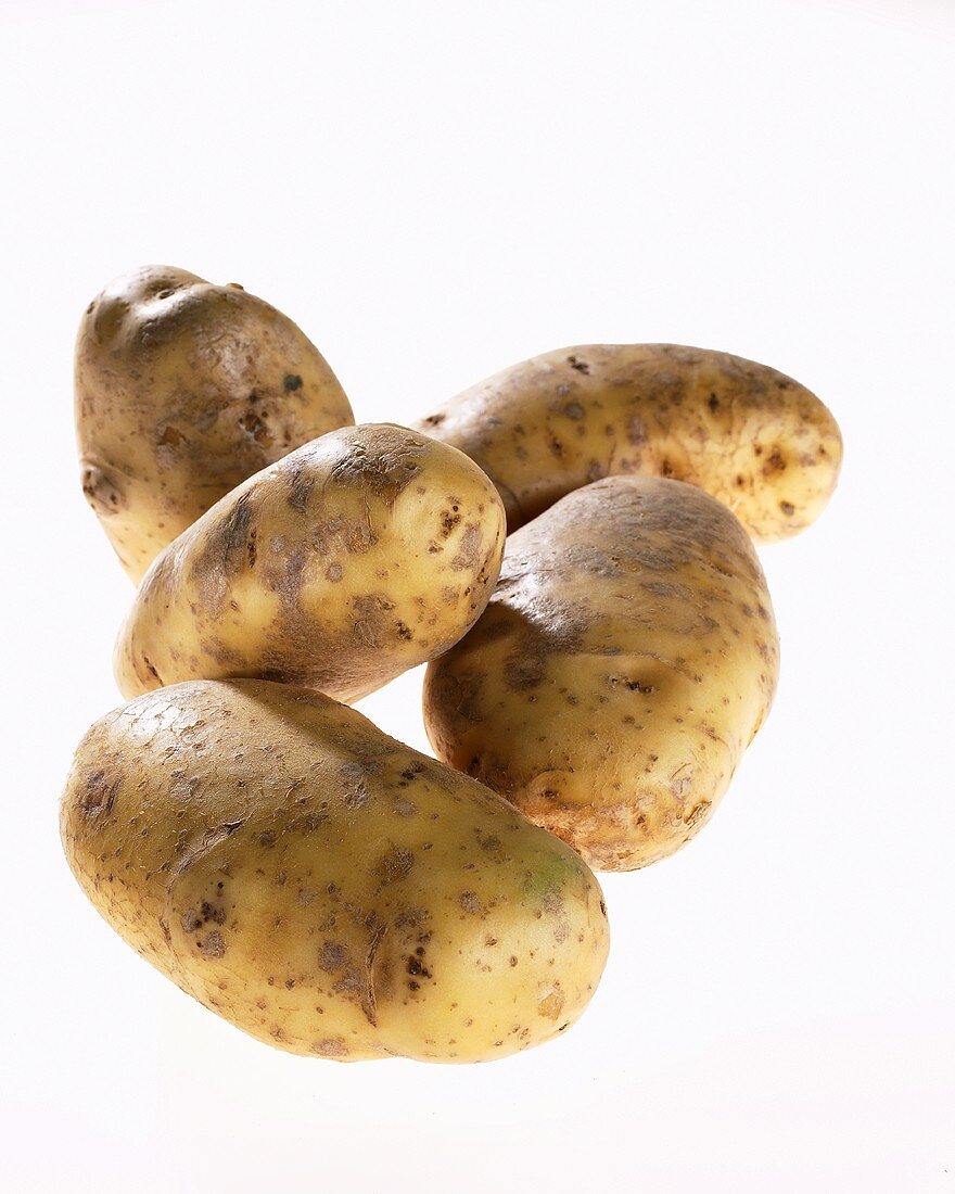 Fünf Kartoffeln der Sorte 'Victoria'
