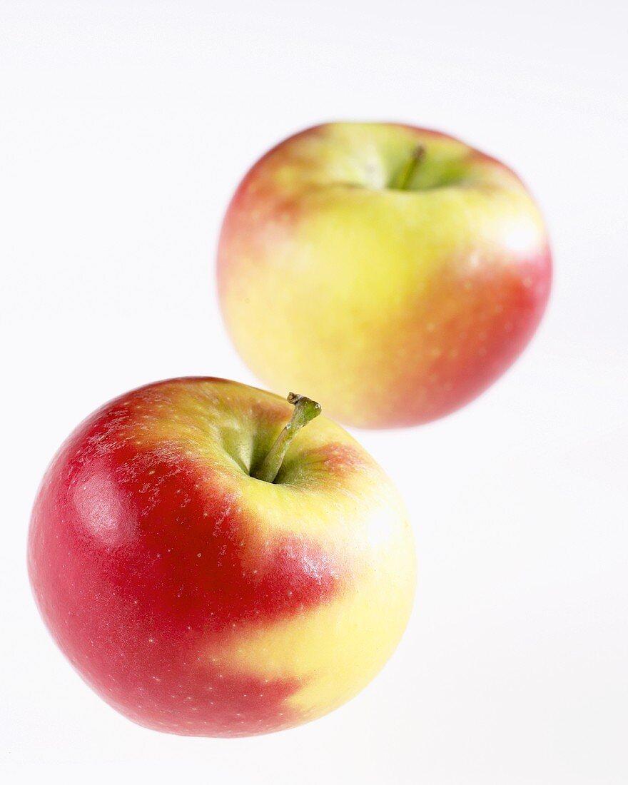 Zwei Äpfel der Sorte 'Kanzi'