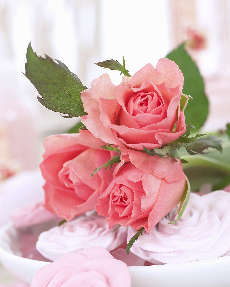 Pink roses and rose soaps