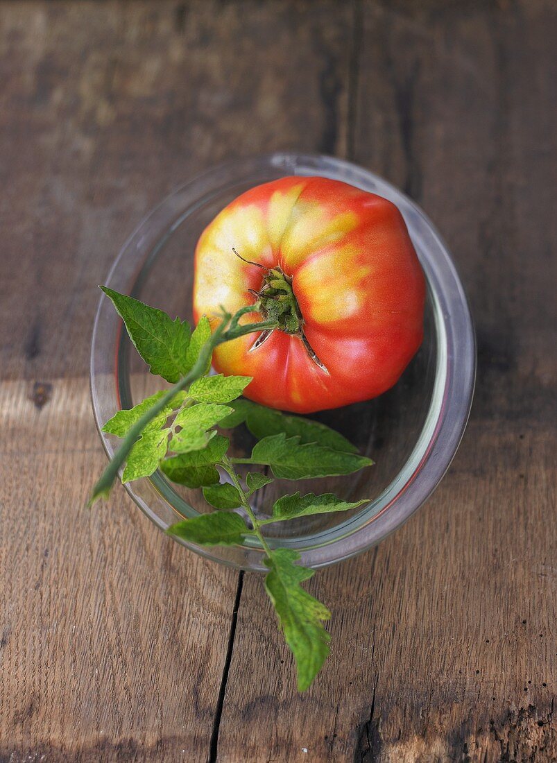 One tomato, variety 'Ochsenherz', in glass dish