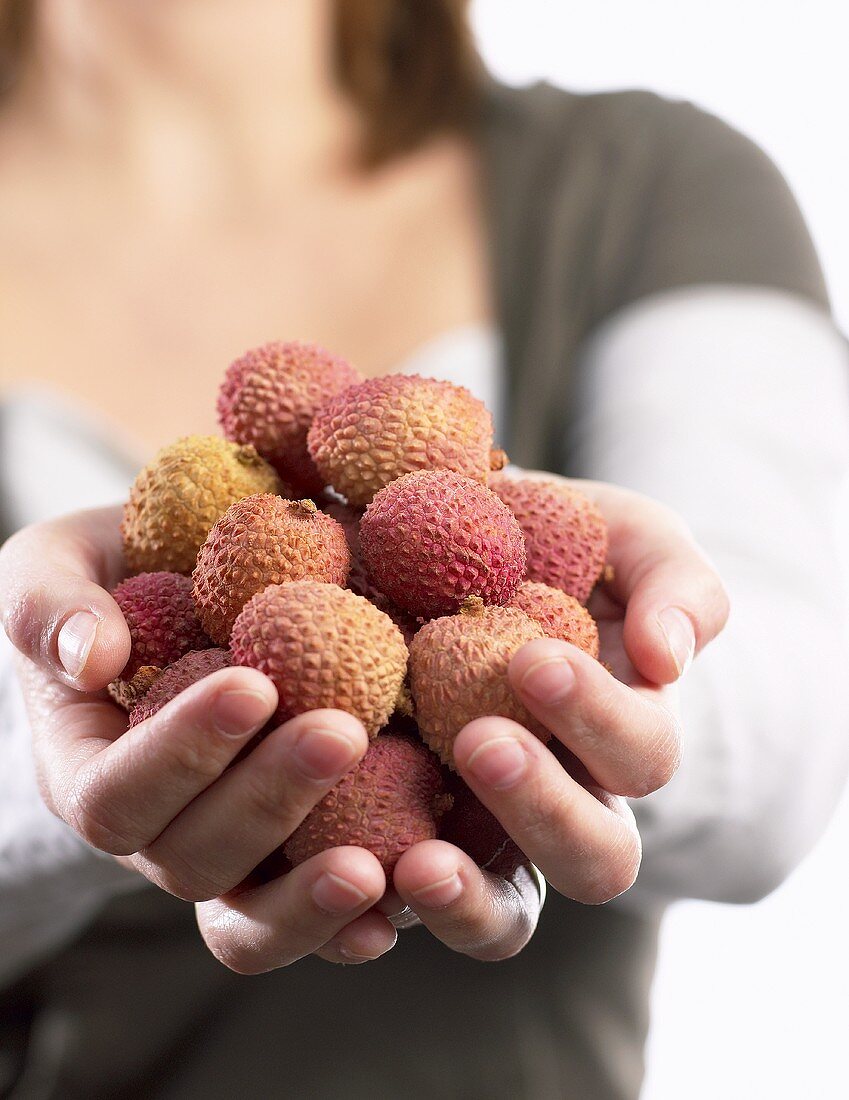 Hands holding lychees