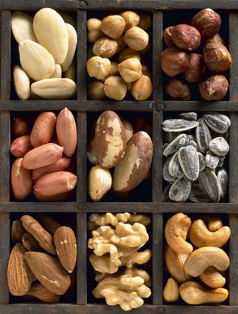 Various nuts and seeds in type case (overhead view)