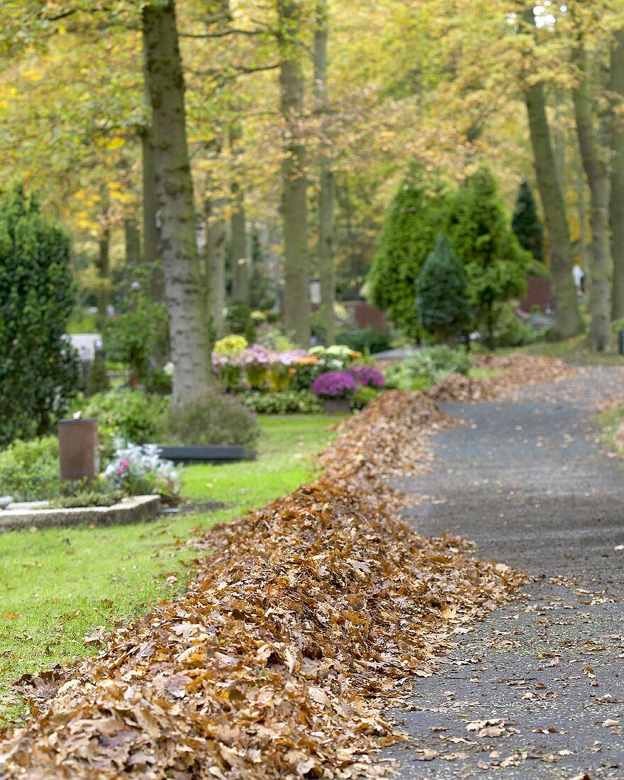 Cemetery in autumn