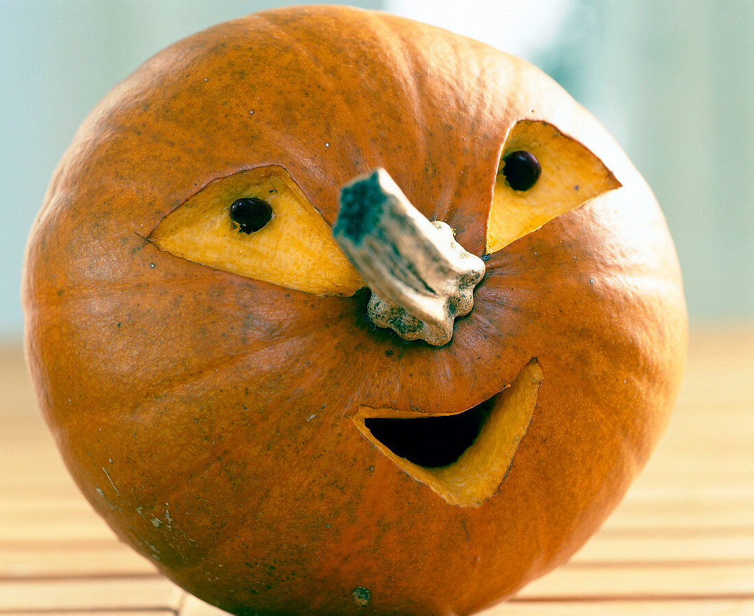 Halloween: amusing pumpkin head