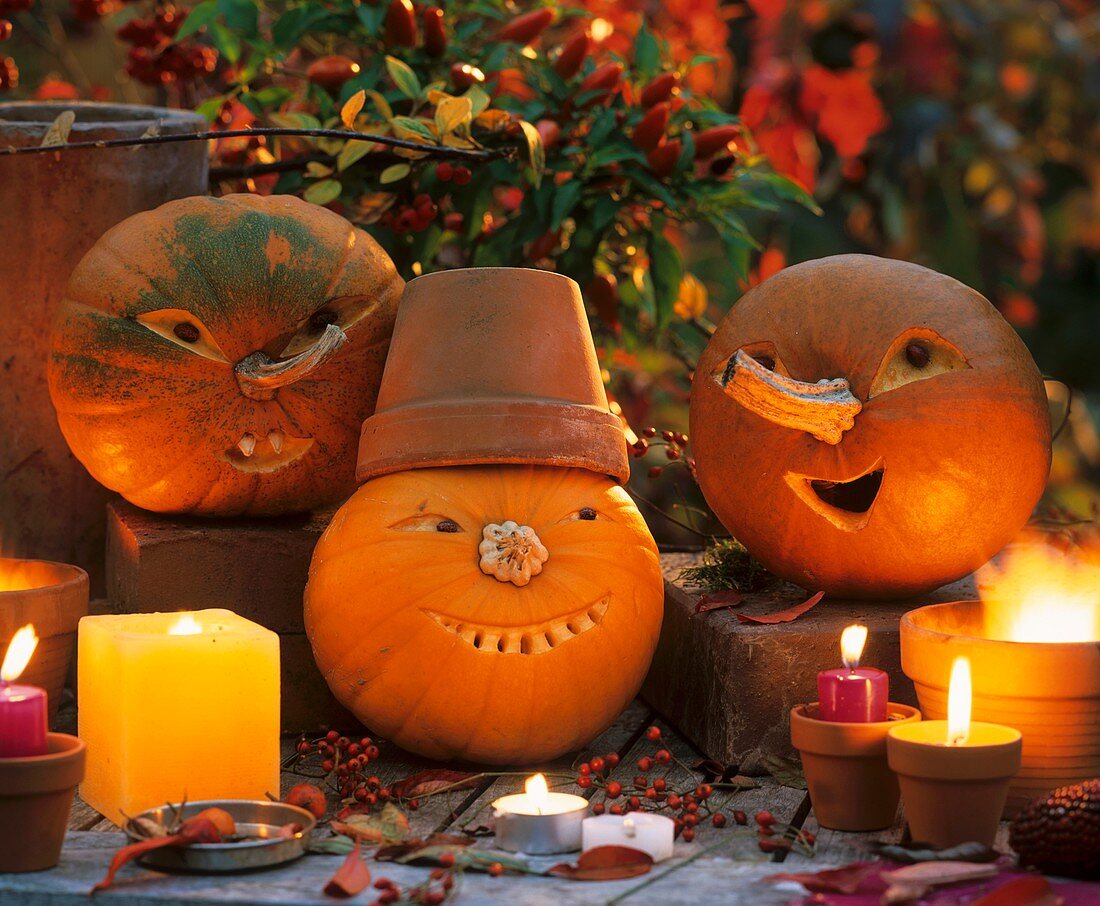 Halloween: amusing pumpkin faces