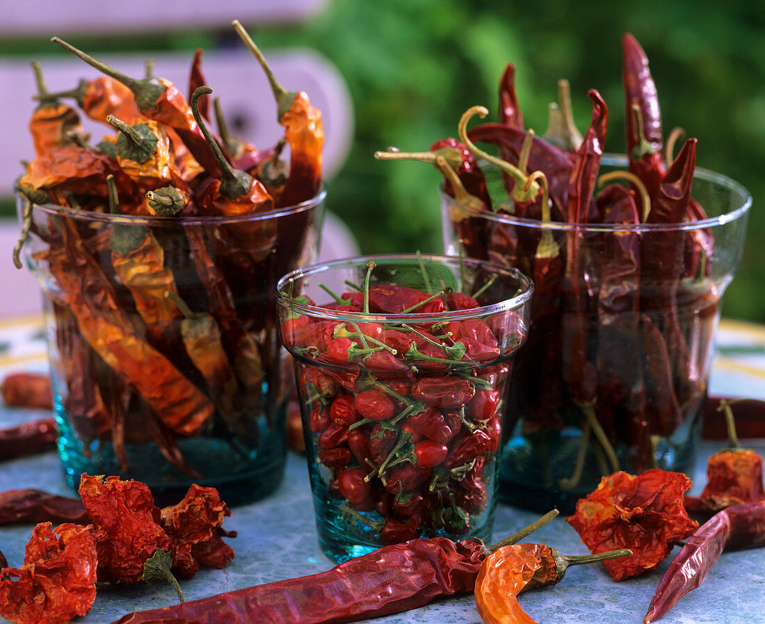 Three glasses of dried chili peppers