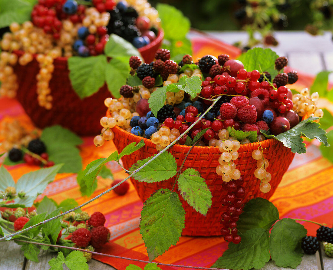 Assorted berries in basket