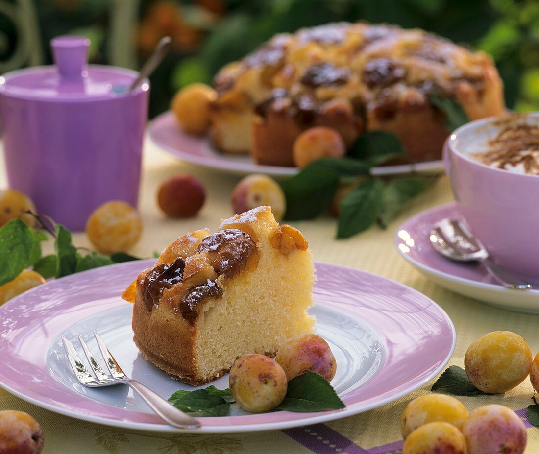 A piece of mirabelle cake