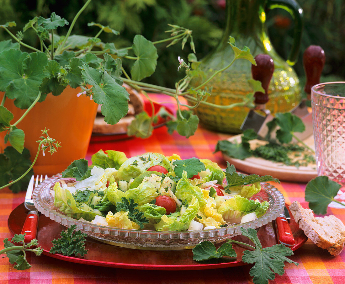 Ein Teller gemischter Salat mit Duftgeranien