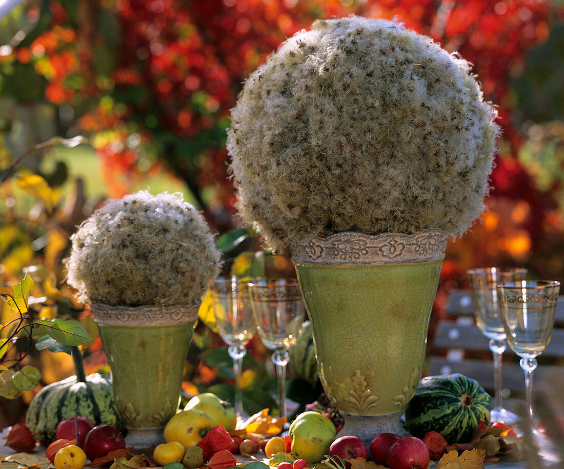 Decorative balls made from Clematis seed heads