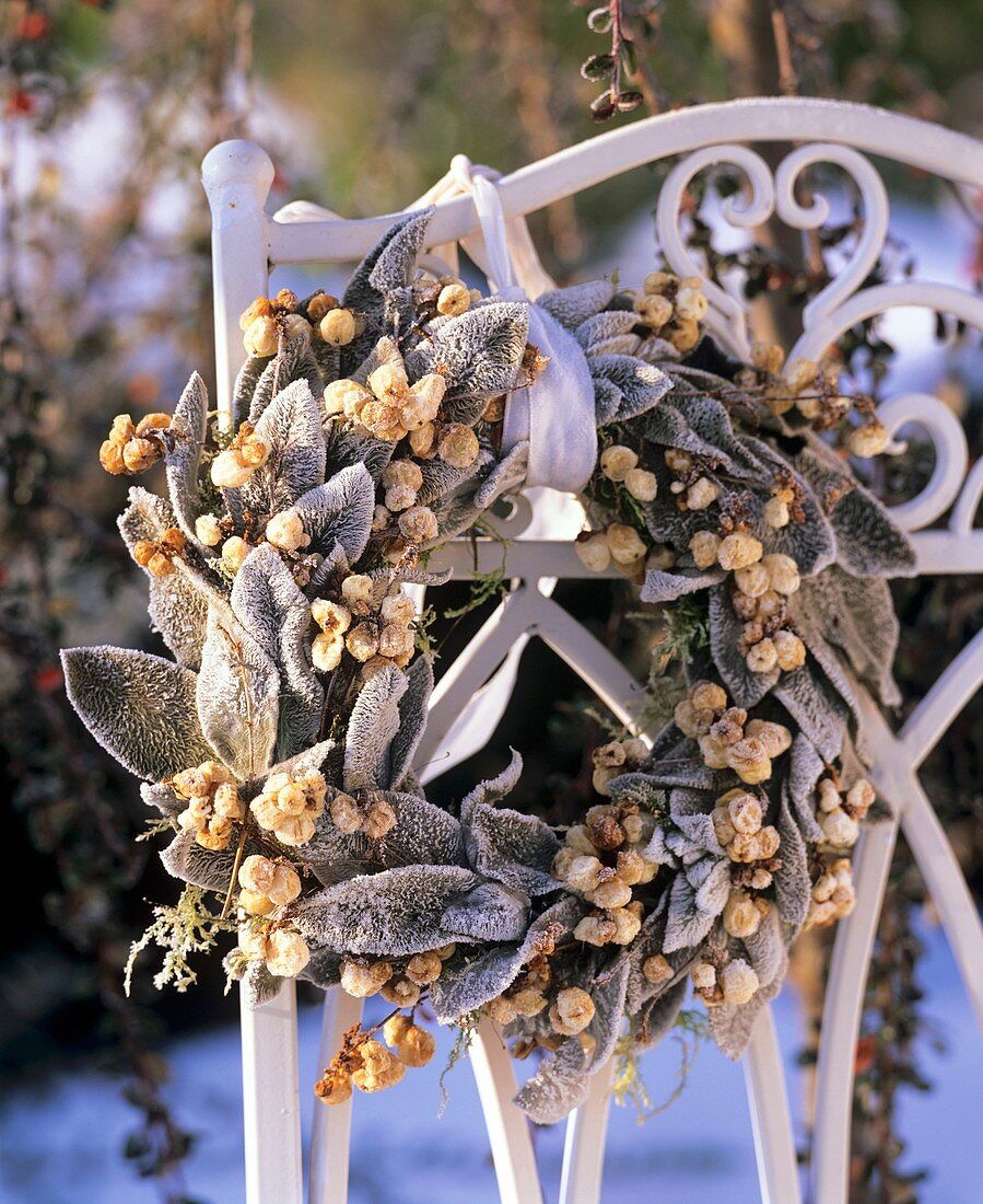 Wreath of Stachys, snowberries and moss with hoar frost