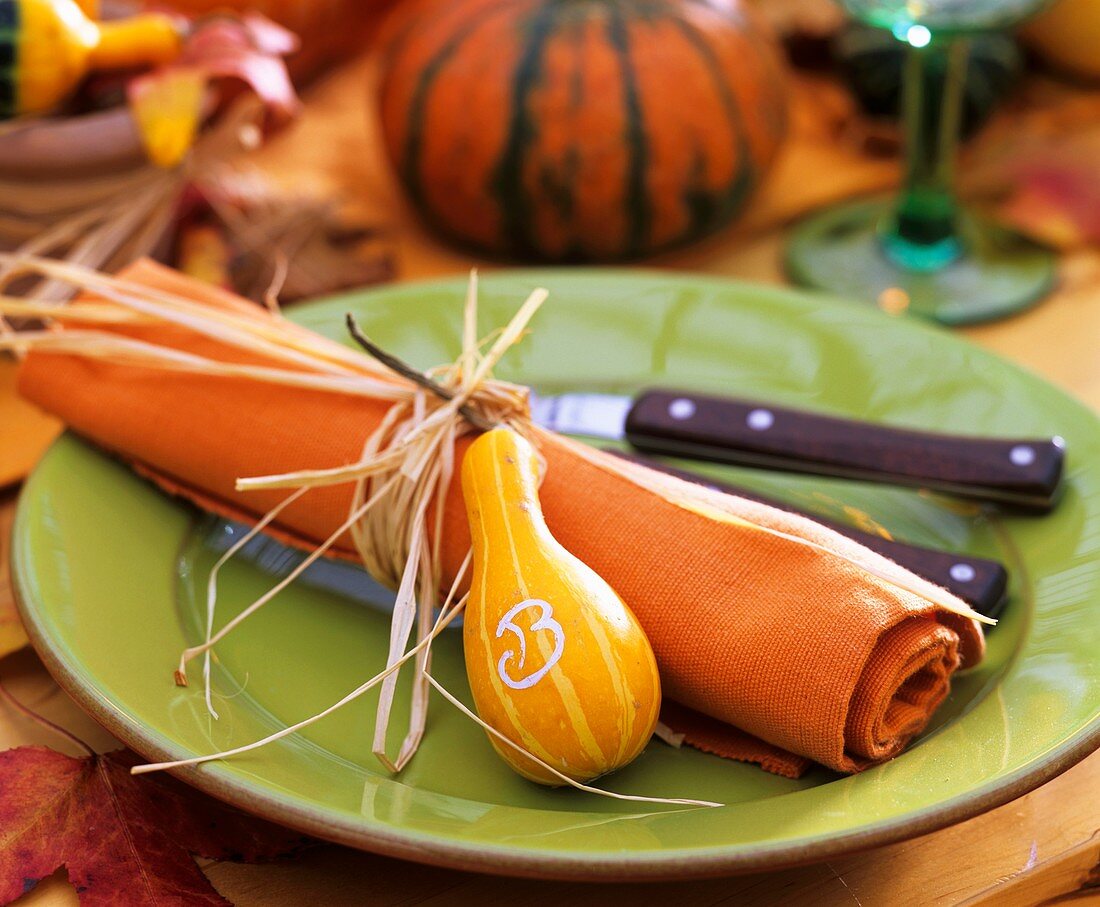 Orange napkin tied with raffia and ornamental gourd