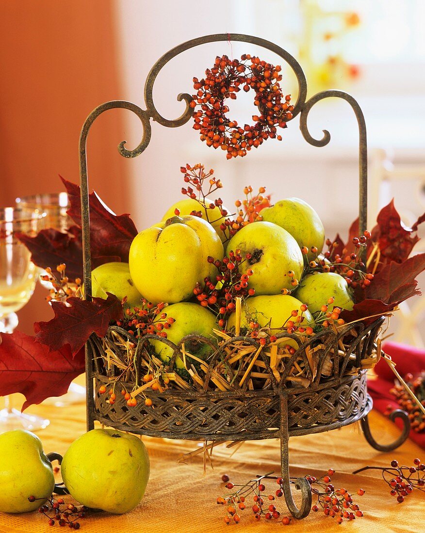 Quinces in metal basket with autumn decorations