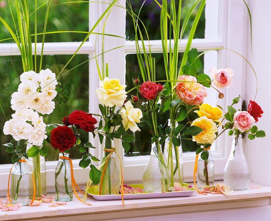 Roses and prairie cordgrass in small bottles