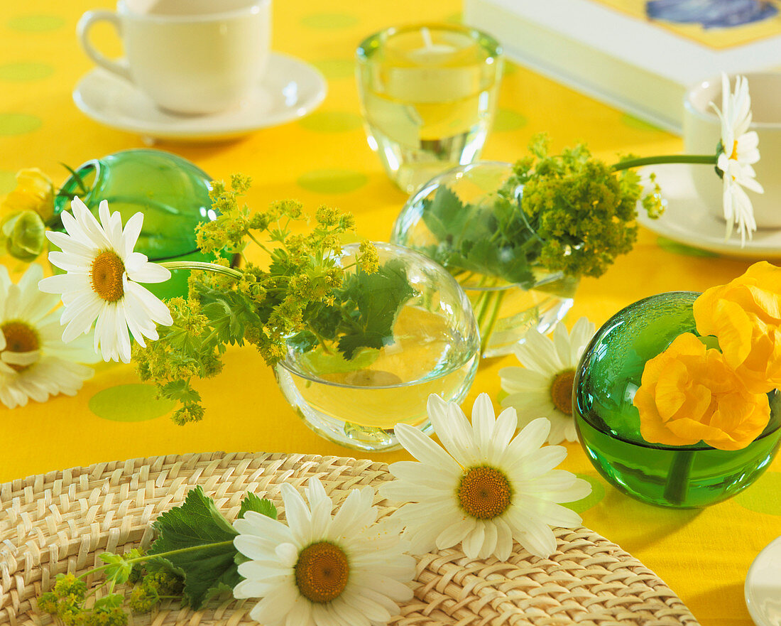 Marguerite and lady's mantle as table decoration