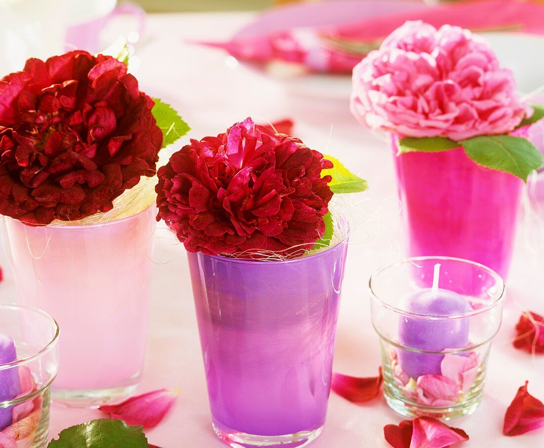 Roses in individual glasses