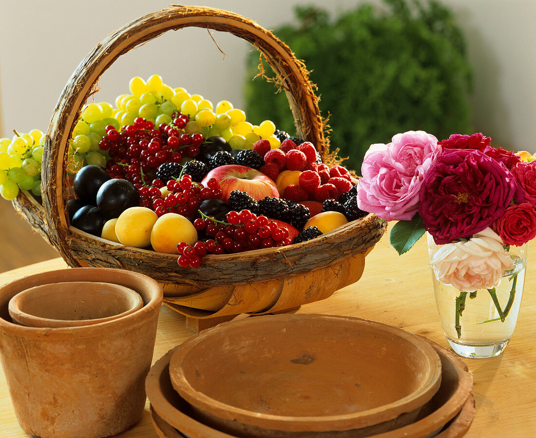 Korb mit Obst und Beeren, Tontöpfe, Untersetzer & Rosenblüten