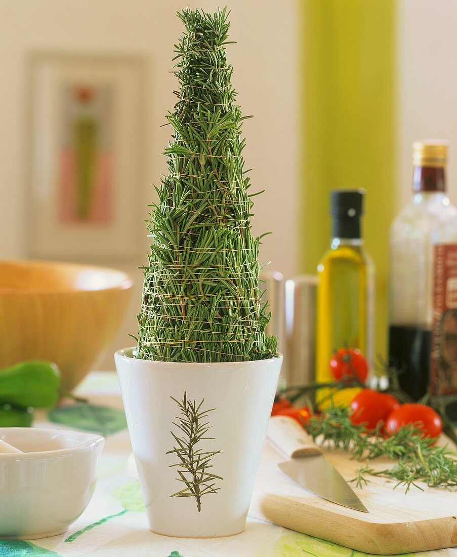 Pyramid of rosemary with gold wire