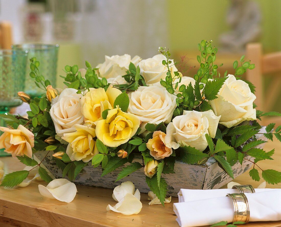 Roses, field pennycress and Astilbe leaves