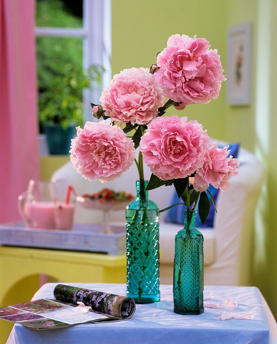 Peonies (Paeonia) on turquoise bottles