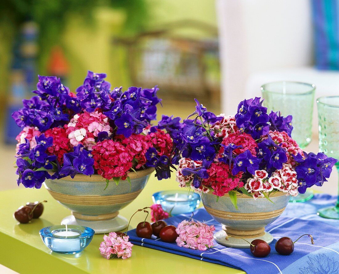 Delphiniums and Sweet Williams in two terracotta vases