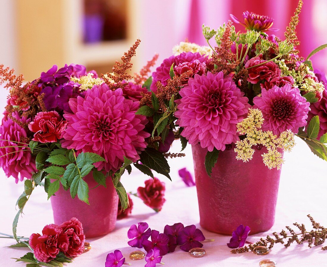 Dahlia, carnation, Phlox, Astilbe and corn parsley