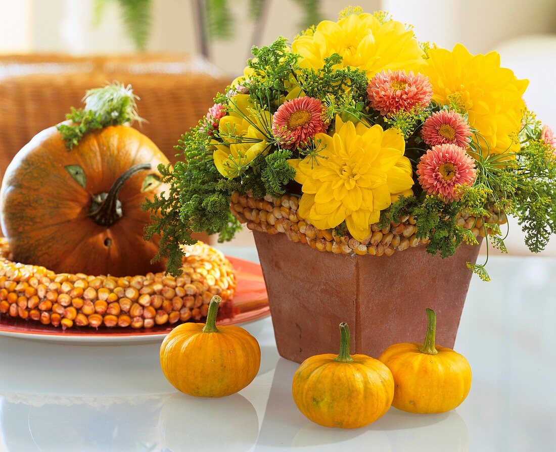 Arrangement of 'Glorie van Heemstede' dahlias, Dendranthema