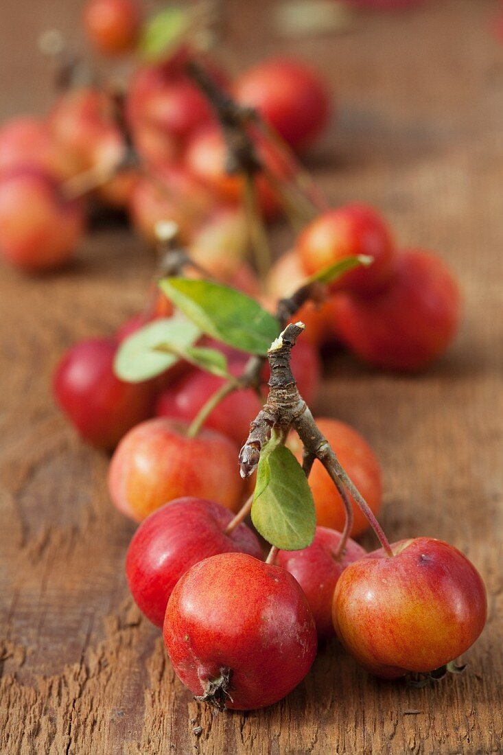 Rote Zieräpfel mit Zweigen