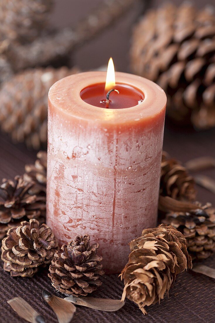Candle surrounded by pine cones