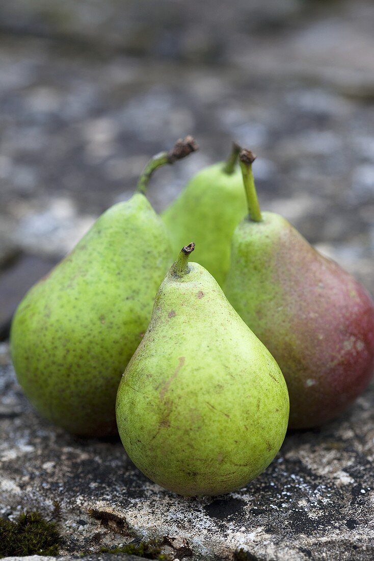 Four pears, variety 'Gaishirtle'