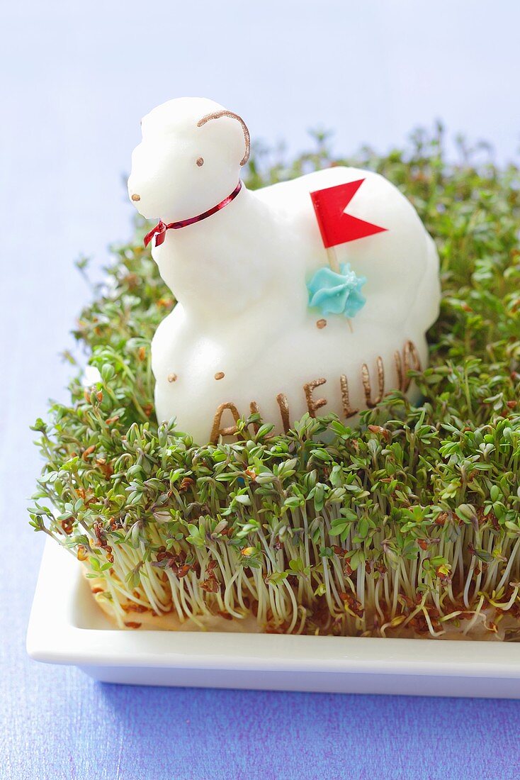 Cress with Easter lamb