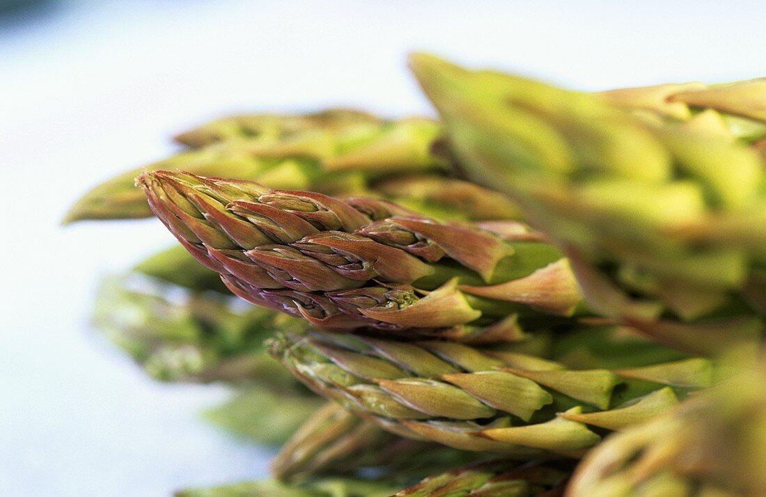 Green asparagus tips