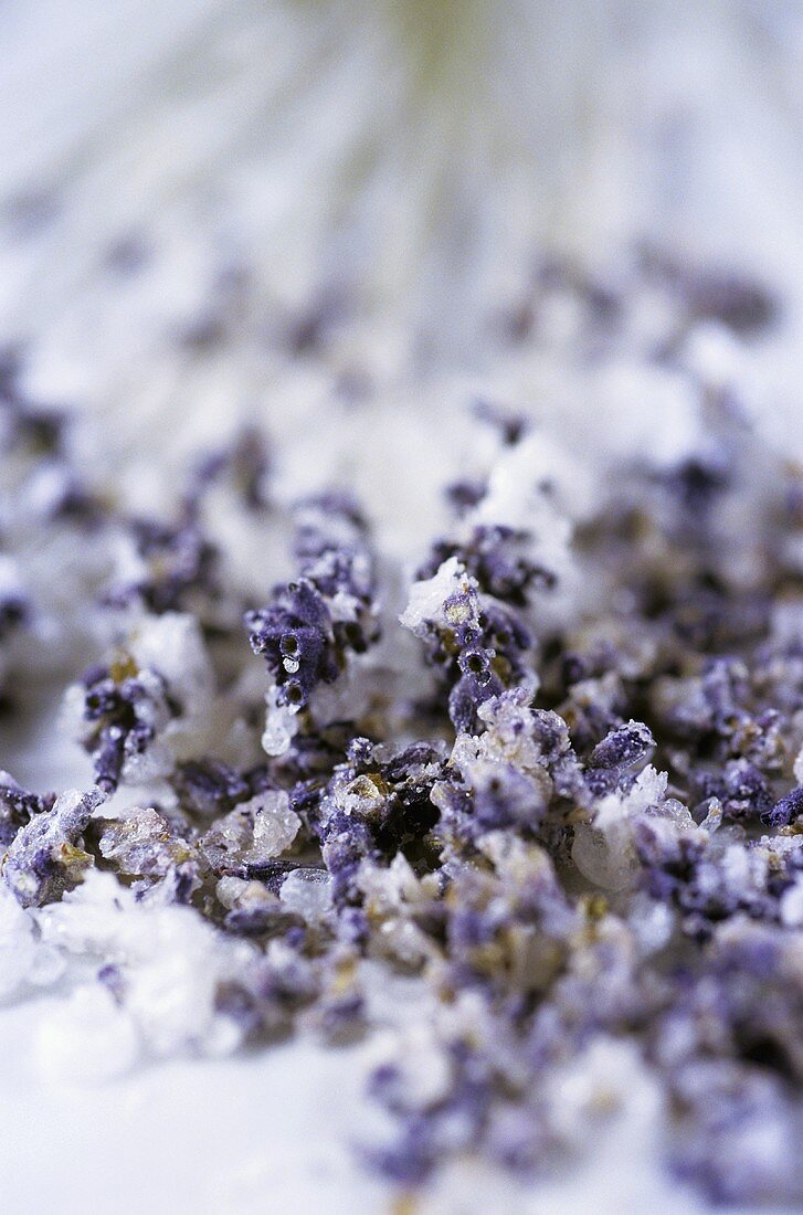 Sugared lavender flowers