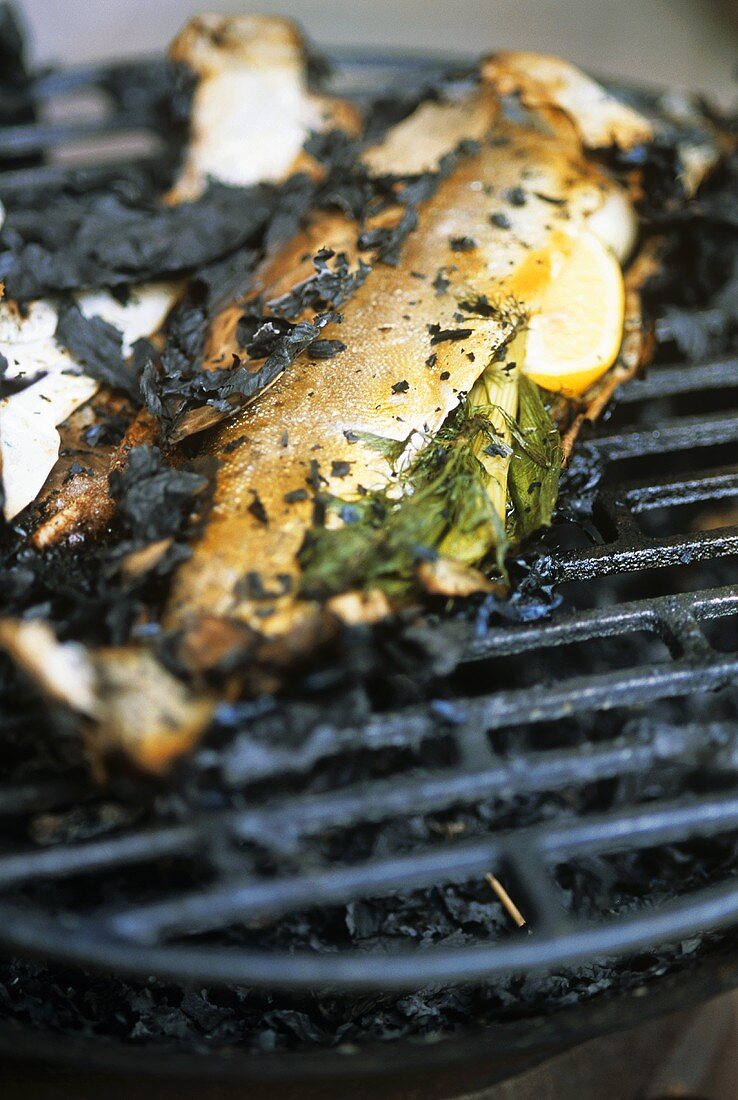 Stuffed salmon trout on barbecue