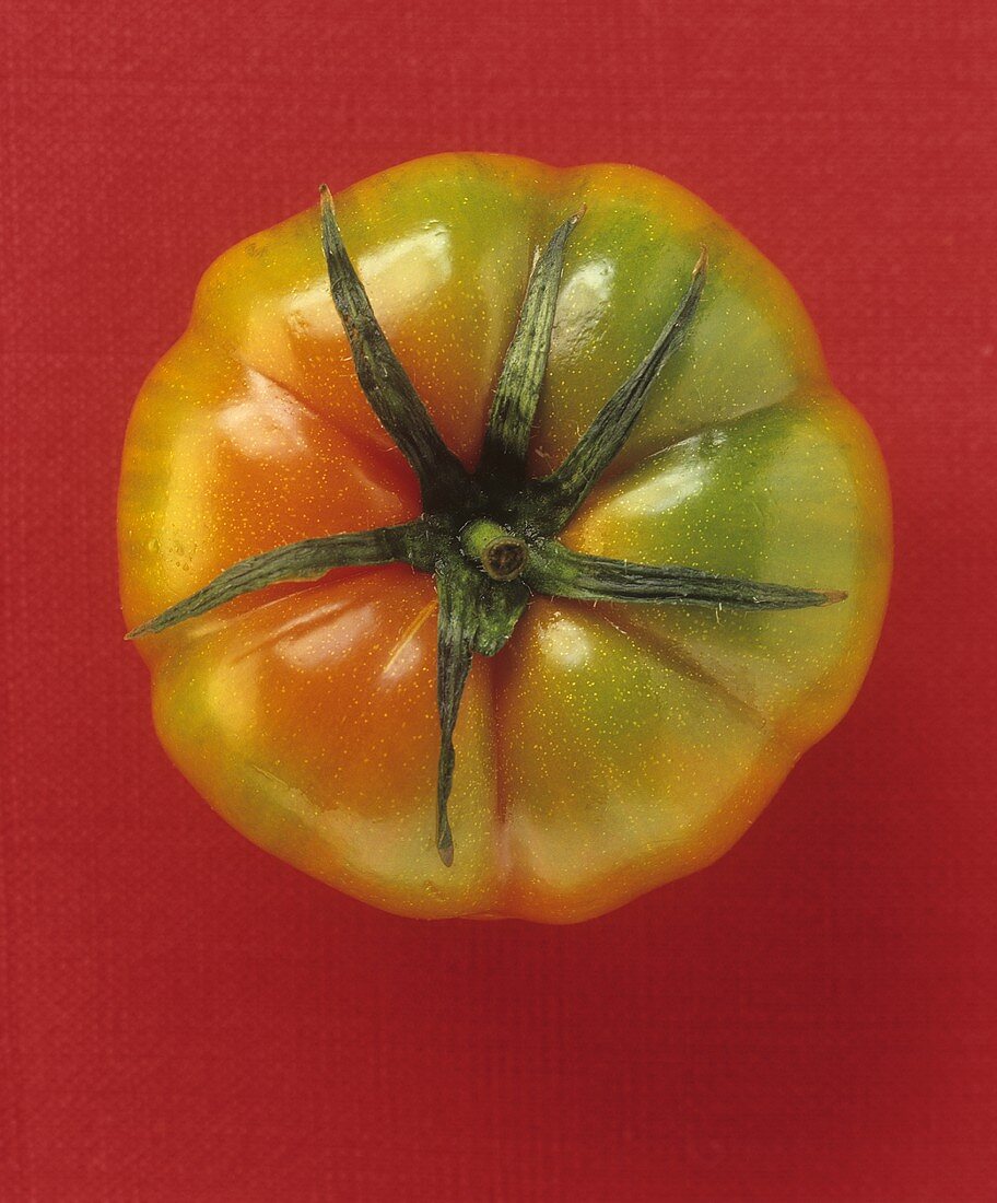 A beefsteak tomato against a red background
