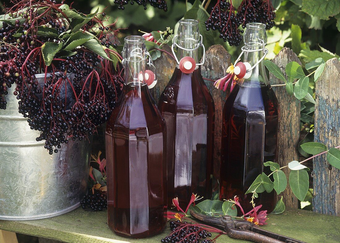 Still life with elderberry juice and elderberries