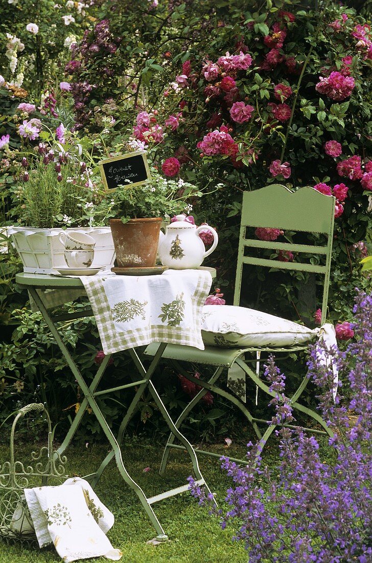 Herbs and tea things on garden table