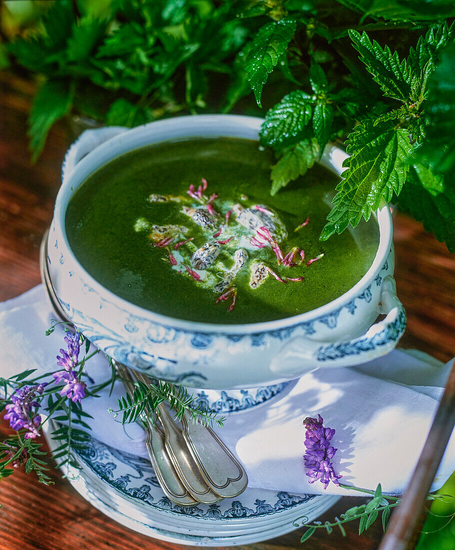 Nettle soup with morels