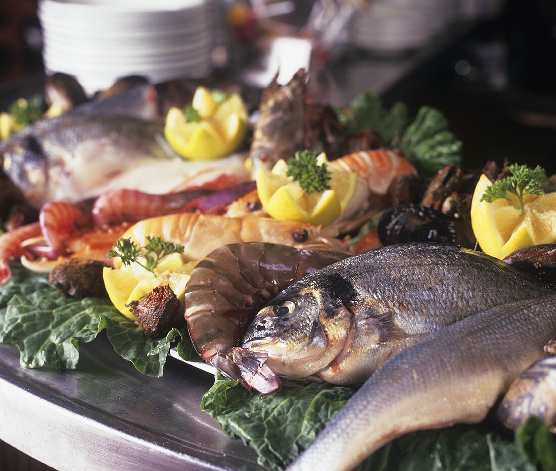 Still life with sea bream and shrimps