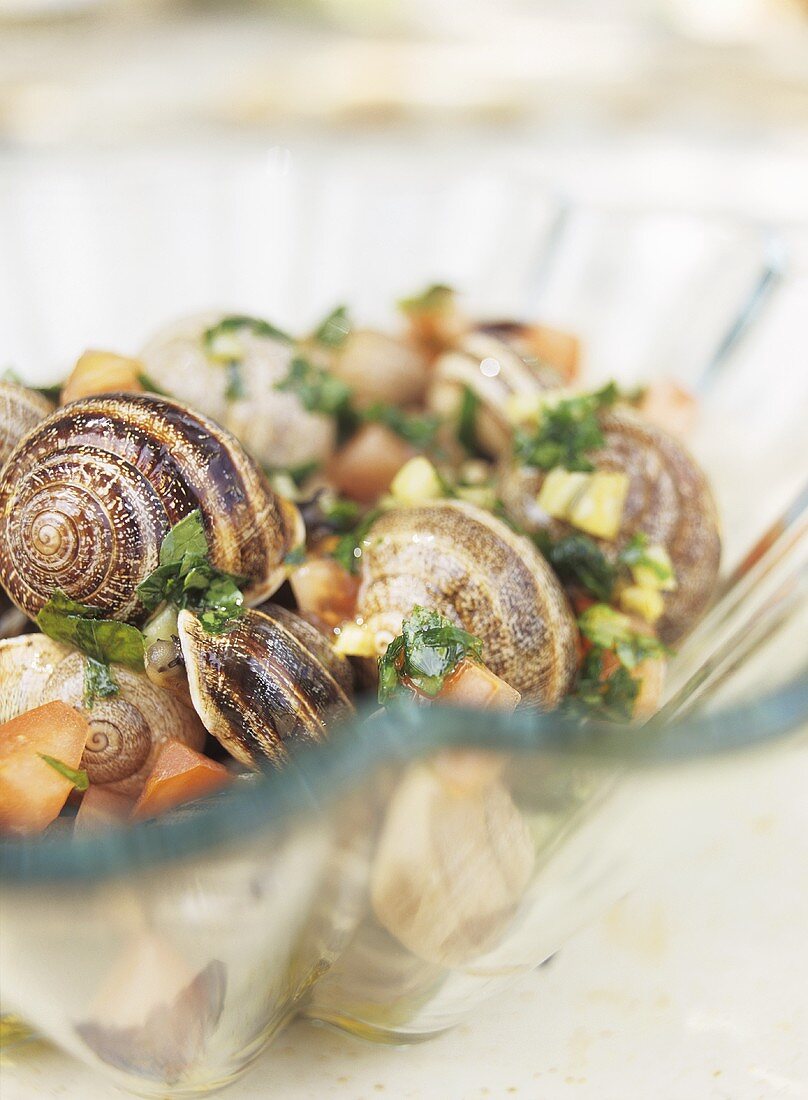 Snails with herbs, onions and tomatoes