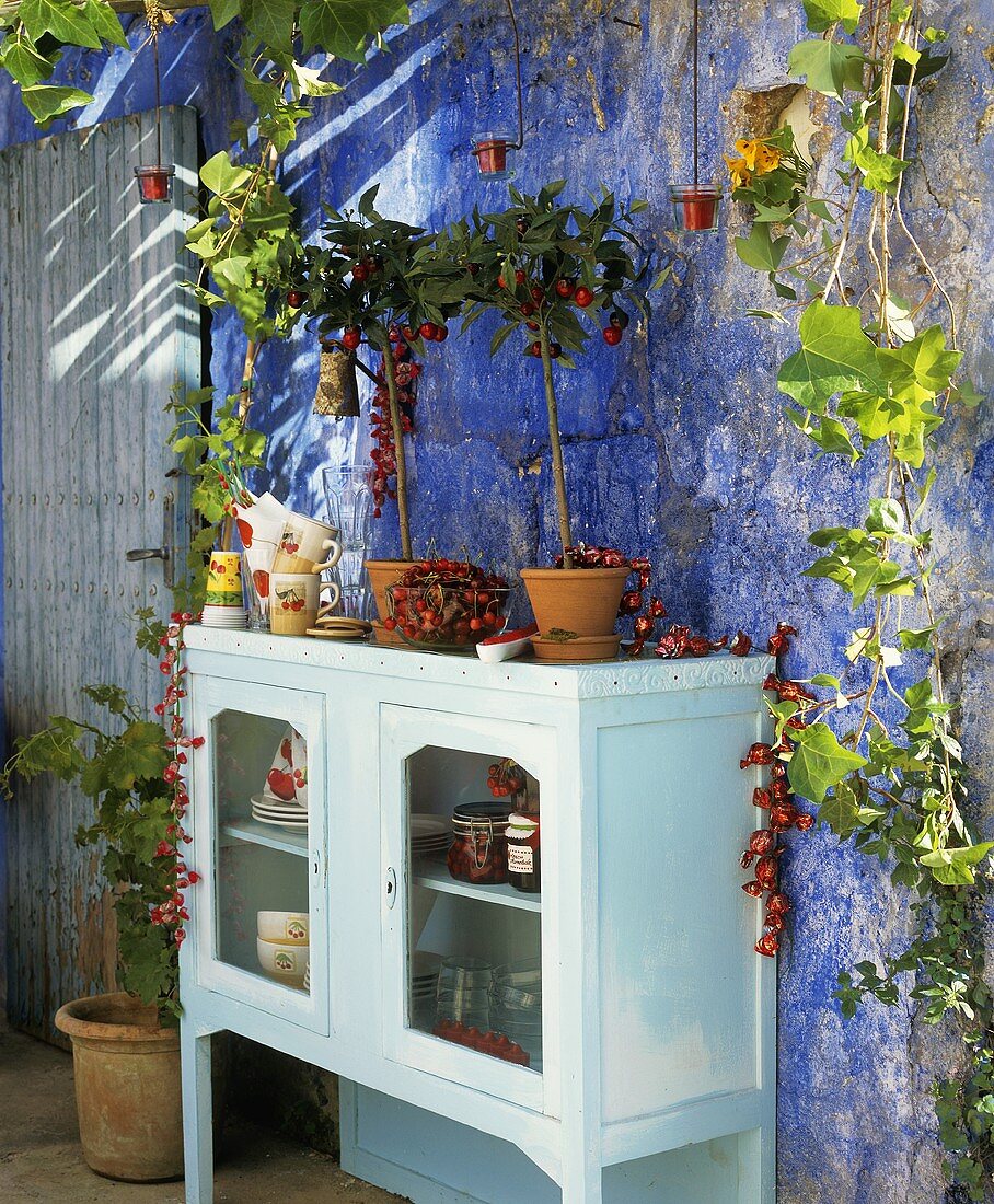 Cabinet with cherry decorations on terrace