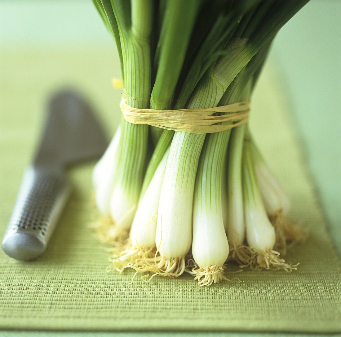 A bunch of spring onions