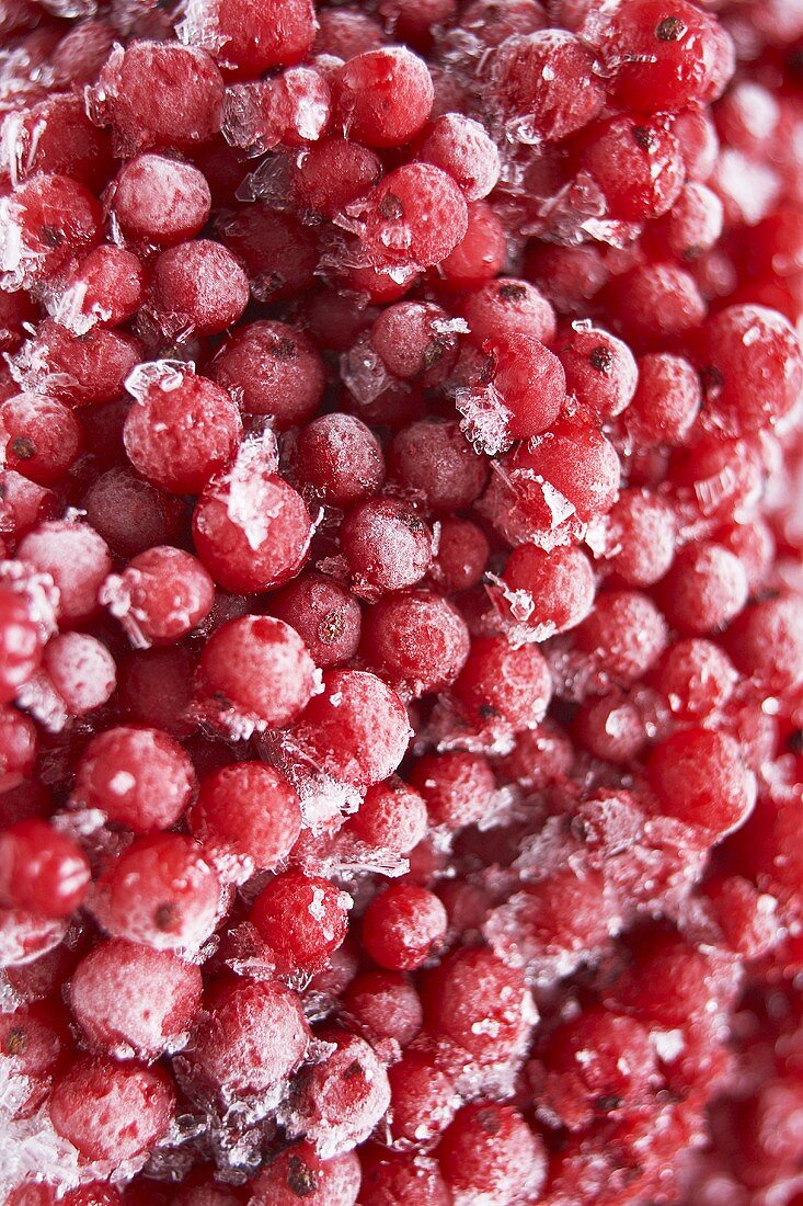 Frozen redcurrants (full-frame)