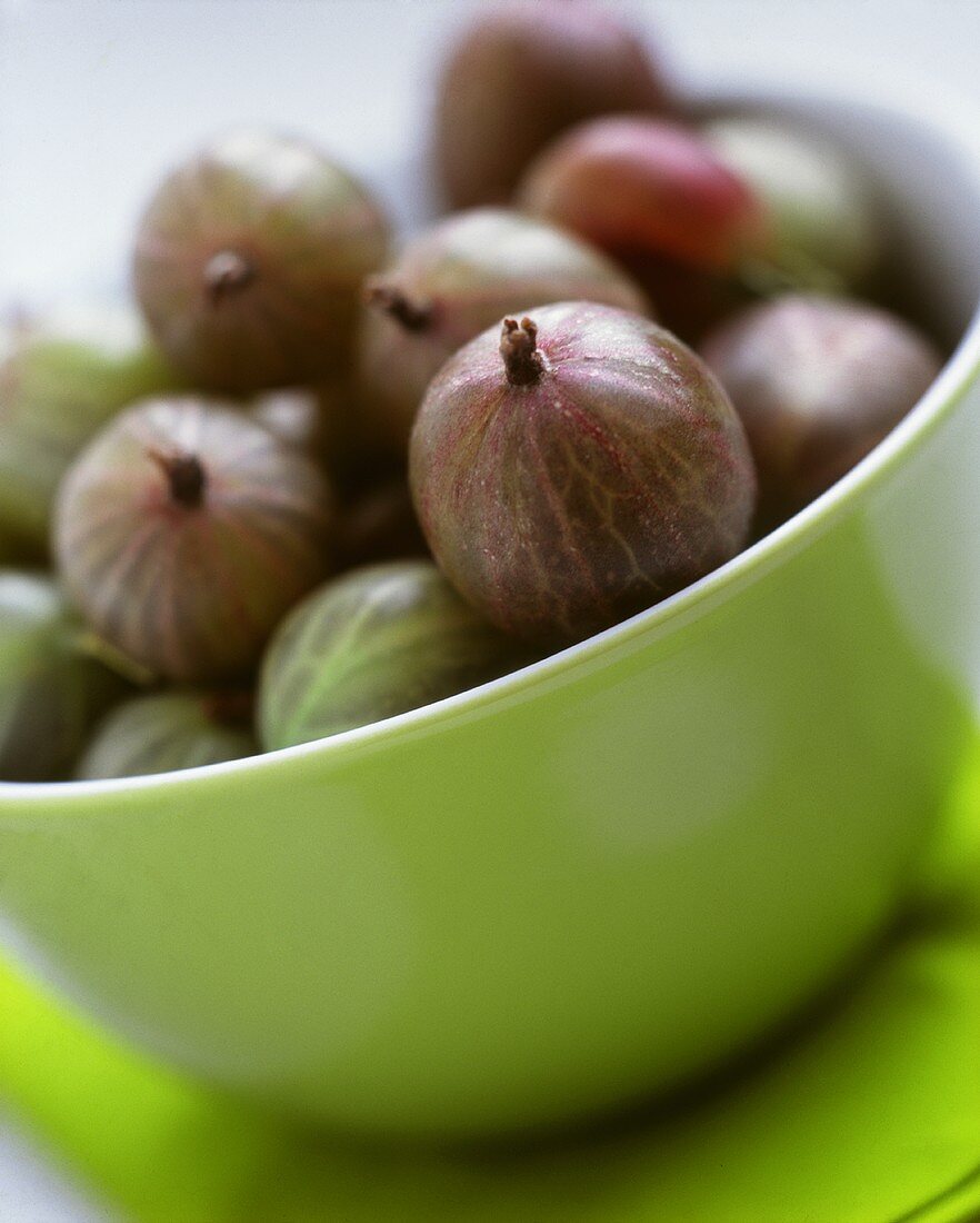 Bowl of gooseberries