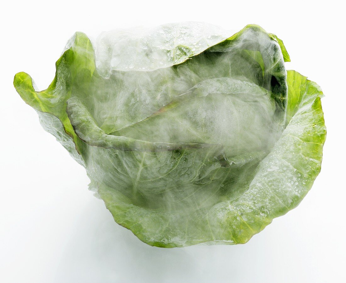 Frozen cabbage