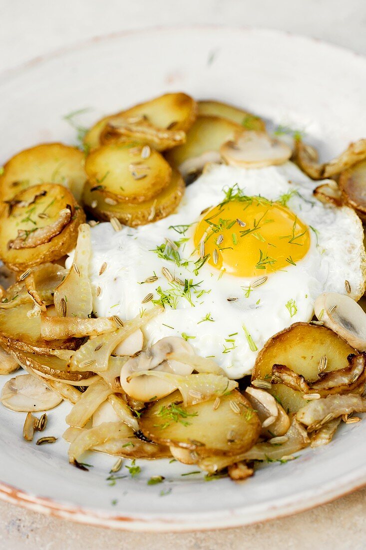 Fried potatoes with fried egg, fennel and mushrooms