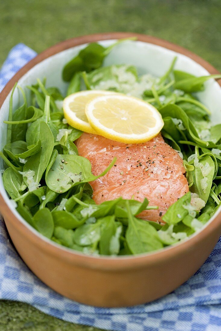 Salmon fillet with baby spinach