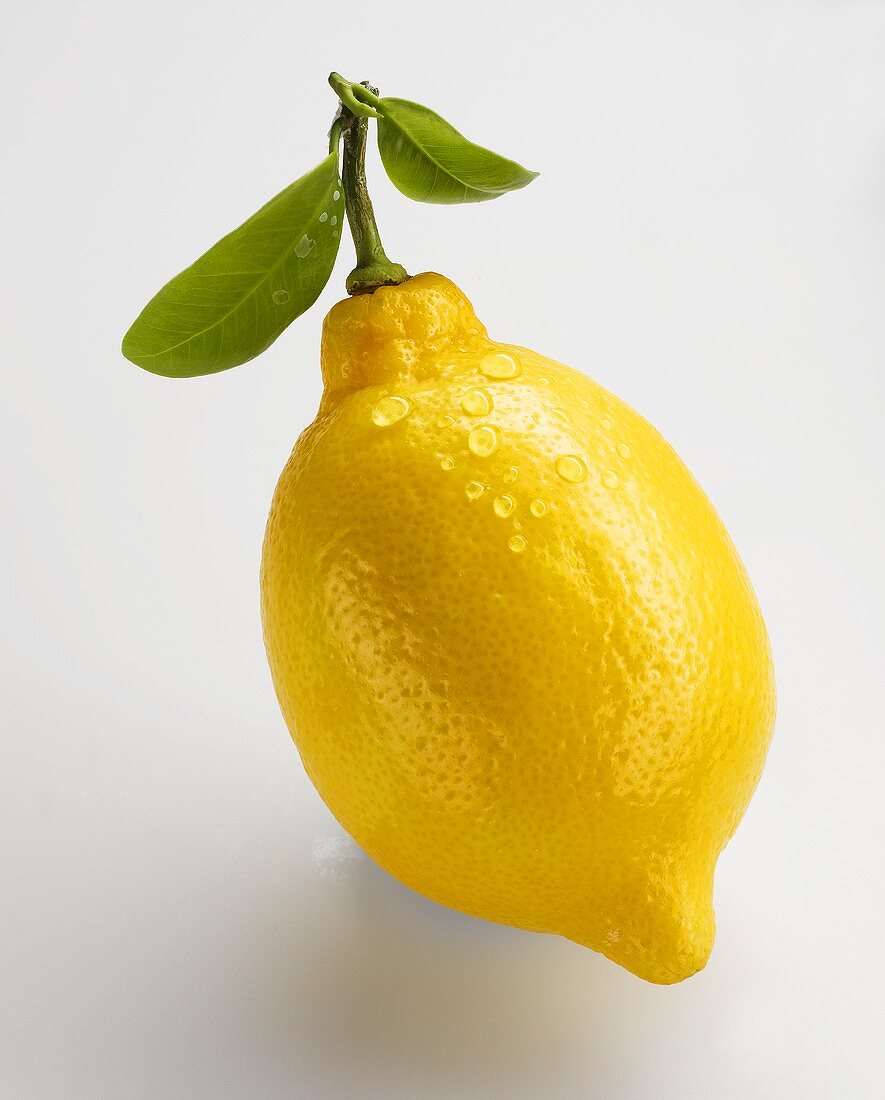 A lemon with leaves and drops of water